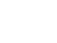 Rave International Carnival Section